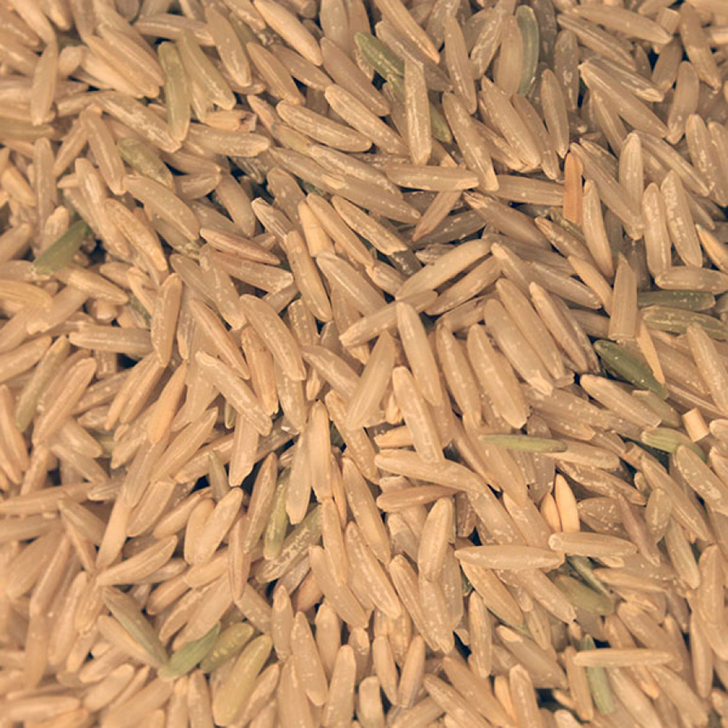 Eco Brown Rice 5kg Price