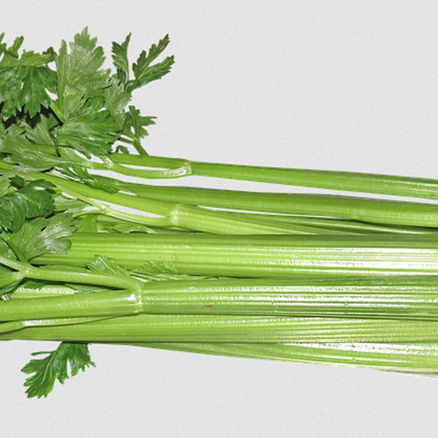Organic Celery (each) Organic to your Door