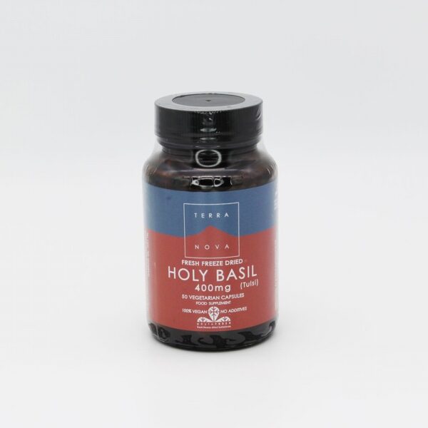 Terranova Holy Basil (50s)