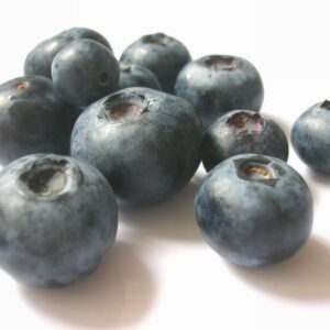 Organic Blueberries (each) - Organic to your door