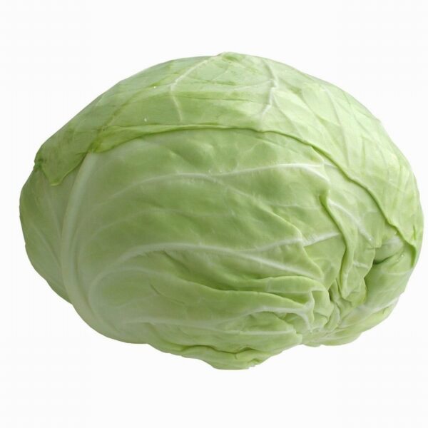 Organic White Cabbage (1kg) - Organic to your door