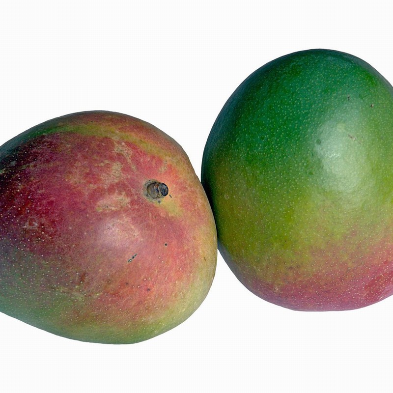 Organic Mango (each) - Organic to your door