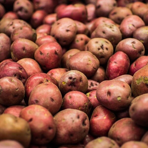 Organic Red Potatoes (1kg) - Organic to your door