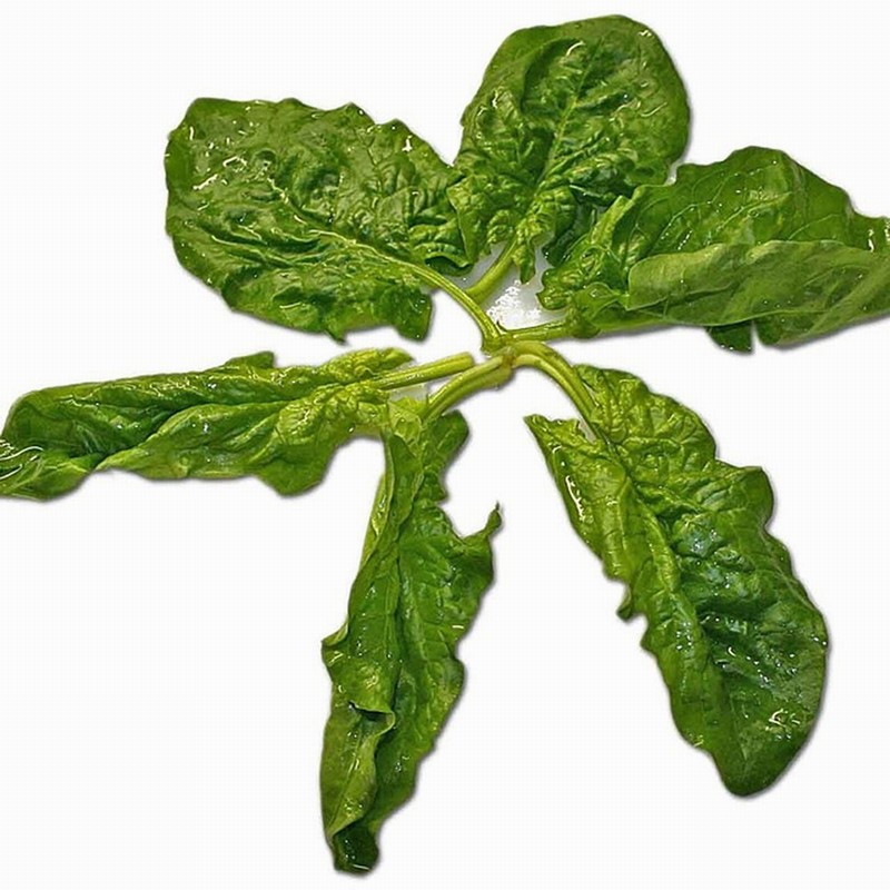 Organic Spinach  (250g) - Organic to your door
