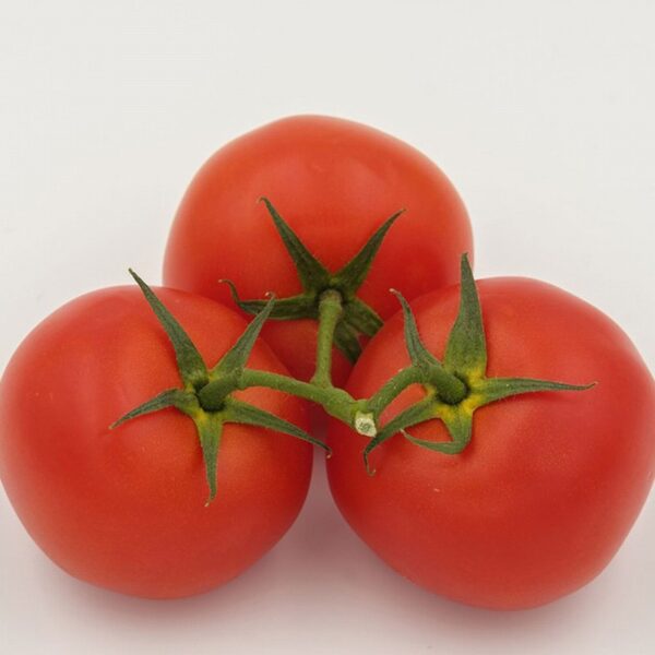 Organic Vine Tomatoes  (500g) - Organic to your door